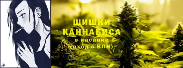 бутират Белокуриха