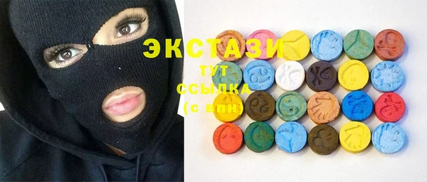 ECSTASY Богородицк